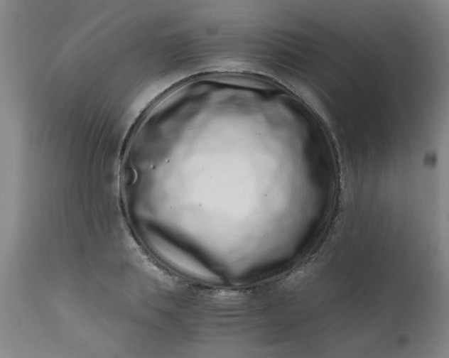 X0000110670839200906261255