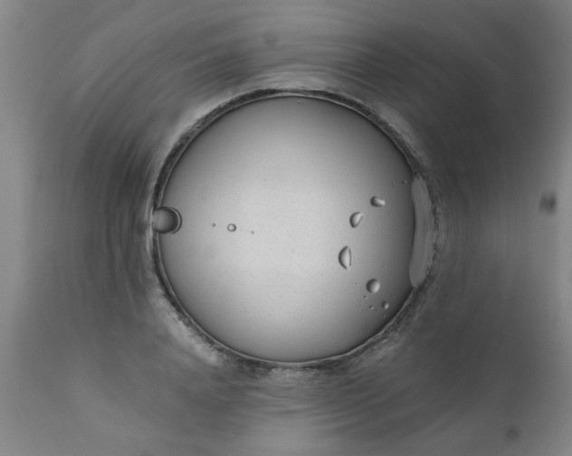 X0000110670840200906261255