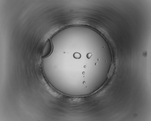 X0000110670841200906261255