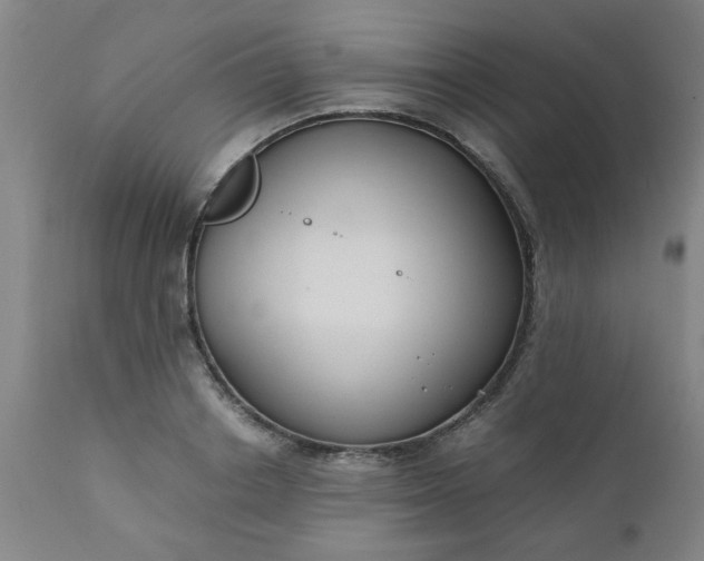 X0000110670842200906261255
