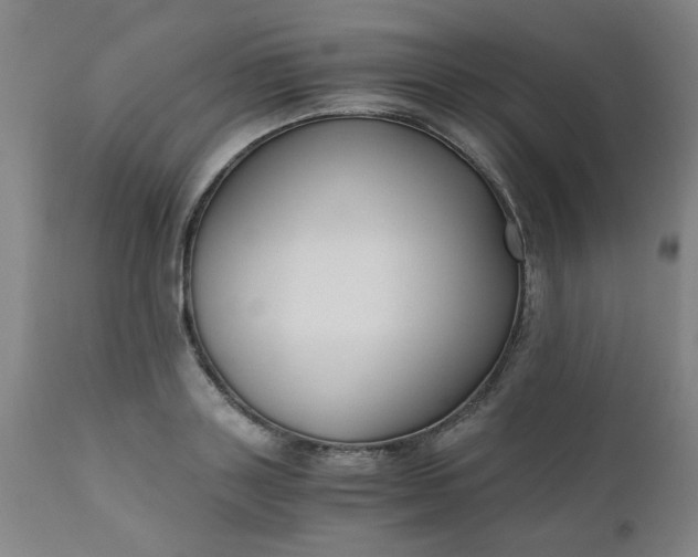 X0000110670843200906261255