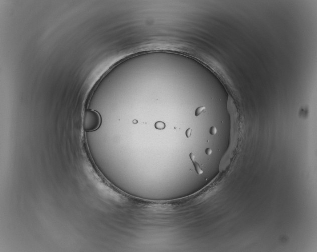 X0000110670844200906261255