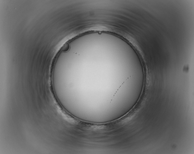 X0000110670845200906261255
