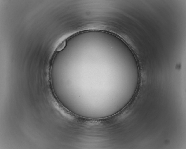 X0000110670846200906261255