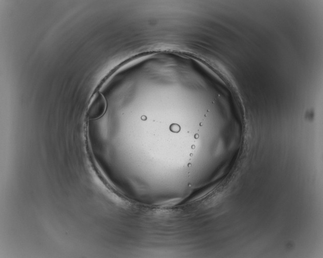 X0000110670847200906261255