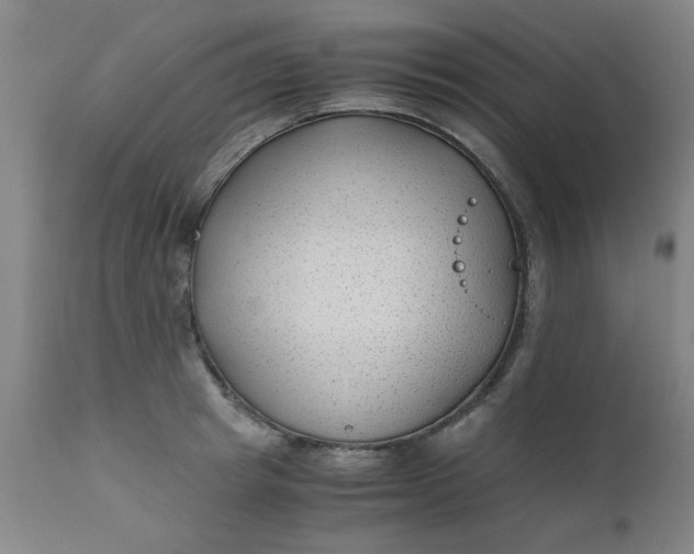 X0000110670849200906261255