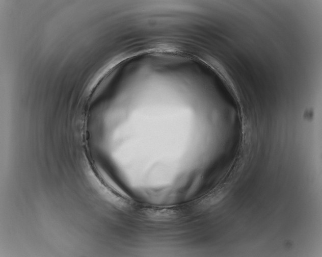 X0000110670851200906261255