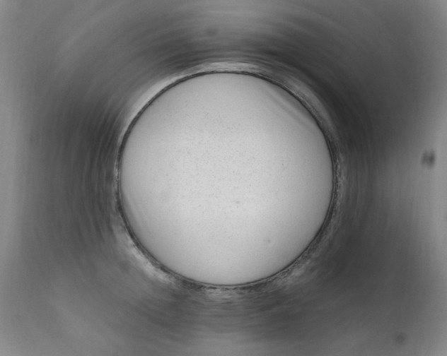 X0000110670852200906261255