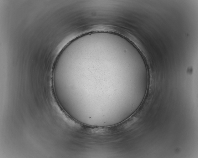 X0000110670853200906261255