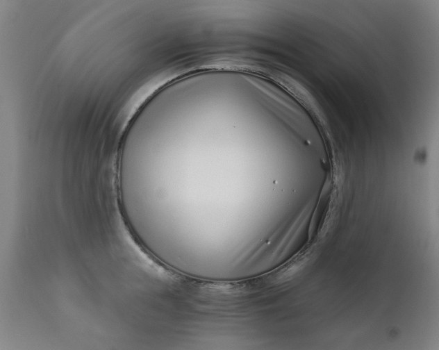X0000110670855200906261255