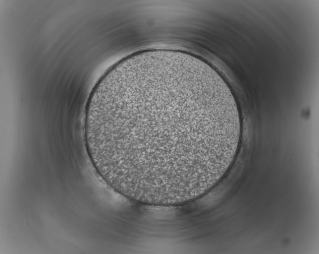 X0000110670856200906261255