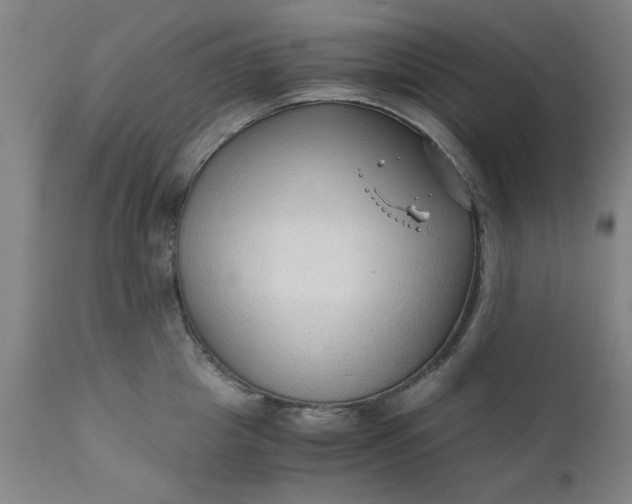 X0000110670857200906261256