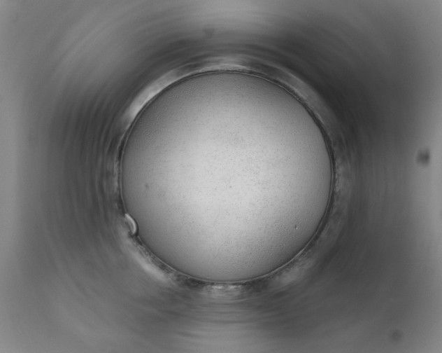X0000110670858200906261256