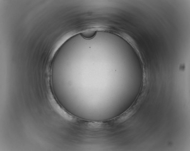 X0000110670859200906261256