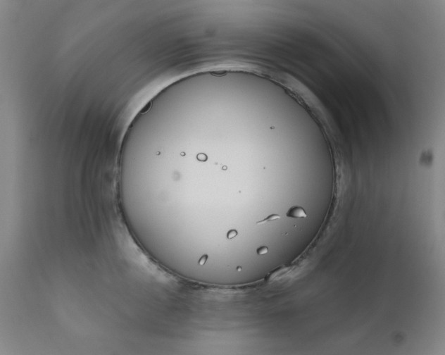 X0000110670860200906261256