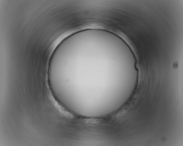 X0000110670861200906261256