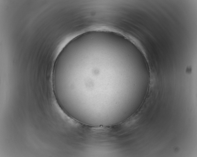 X0000110670863200906261256