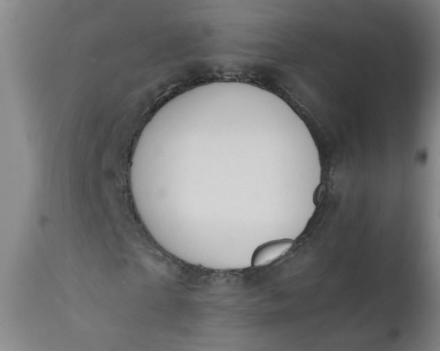 X0000110670865200906261255
