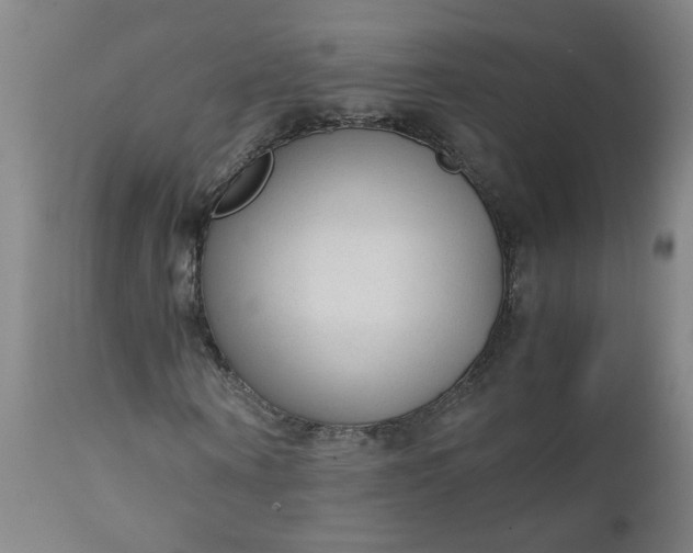 X0000110670866200906261255