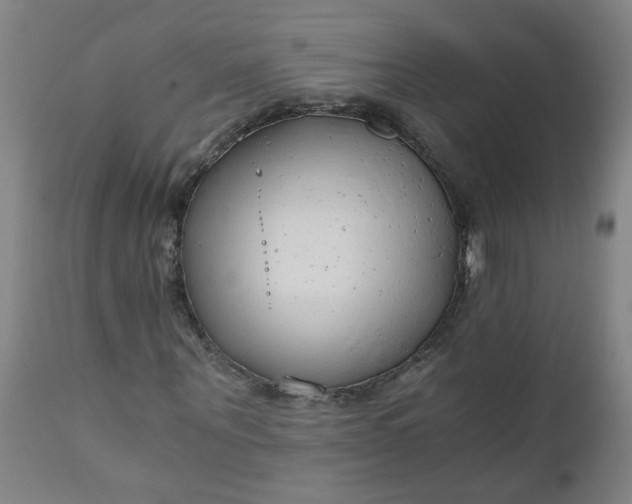 X0000110670867200906261255
