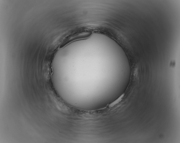 X0000110670868200906261255
