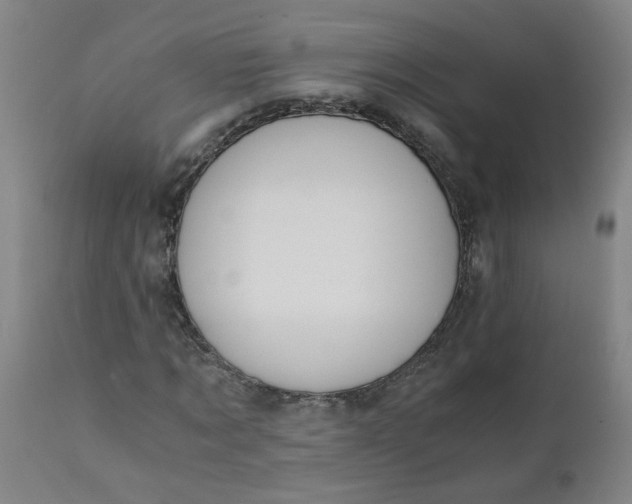 X0000110670869200906261255