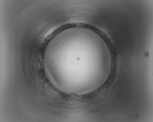 X0000110670871200906261255