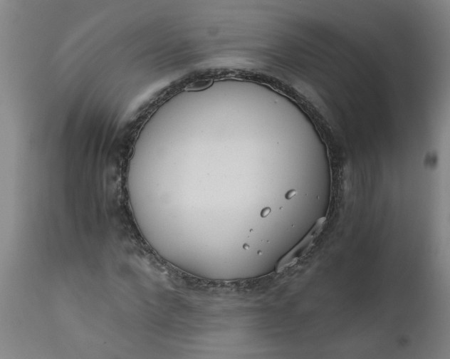 X0000110670872200906261255