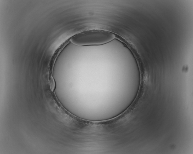 X0000110670877200906261255