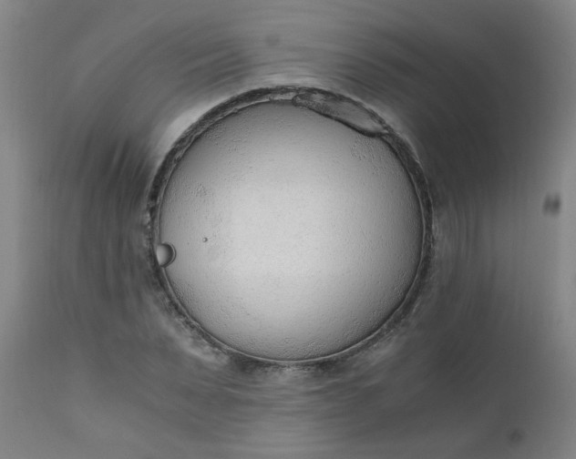 X0000110670879200906261255