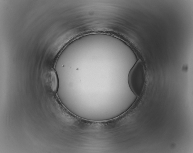 X0000110670881200906261255