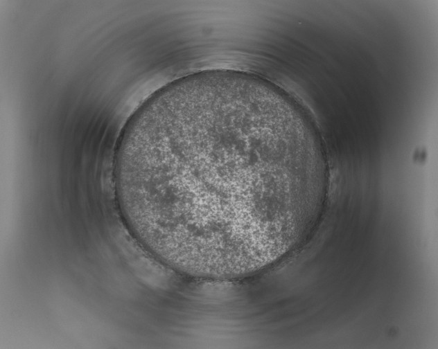 X0000110670882200906261255