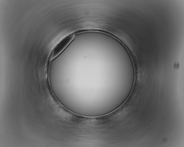 X0000110670885200906261255
