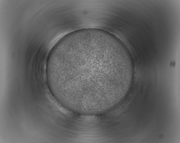 X0000110670886200906261254