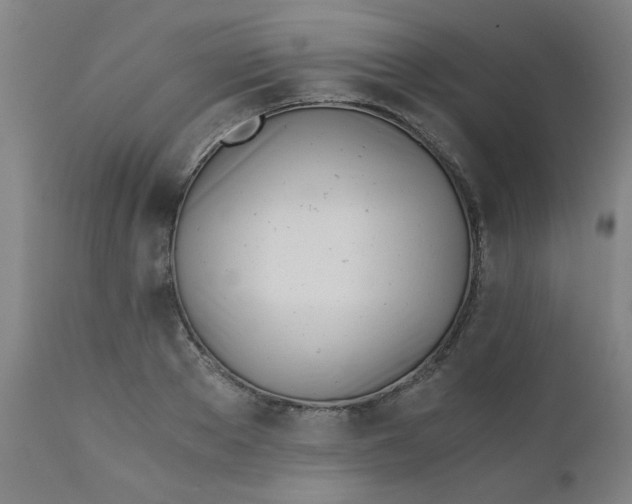 X0000110670889200906261254