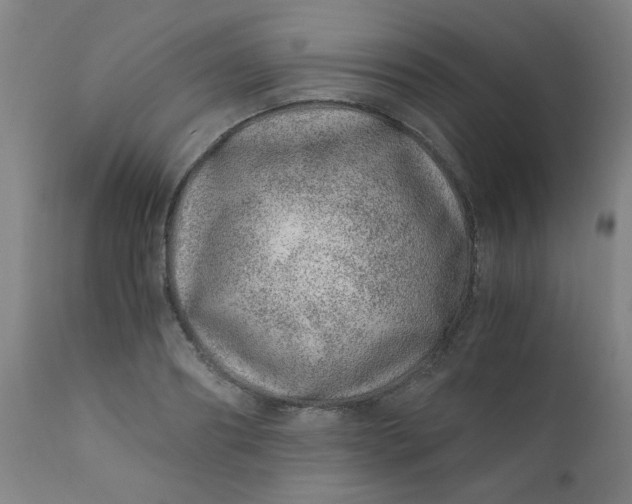 X0000110670890200906261254