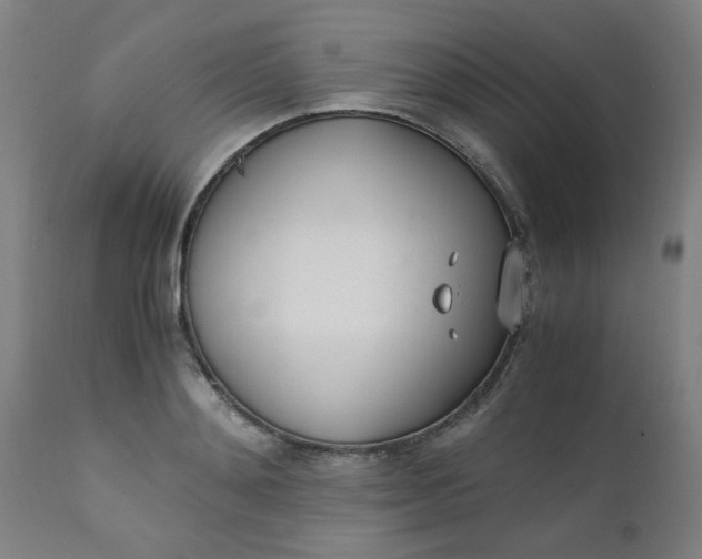 X0000110670892200906261254