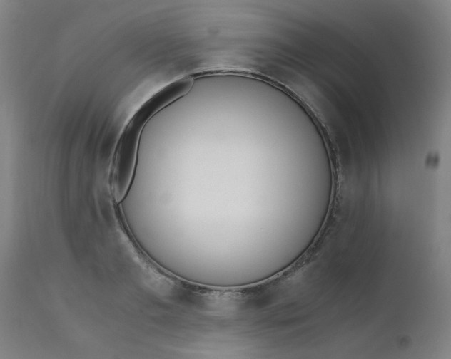 X0000110670893200906261254