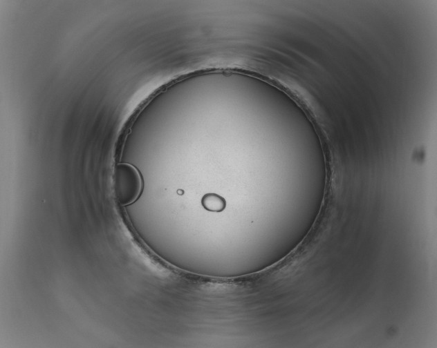 X0000110670894200906261254