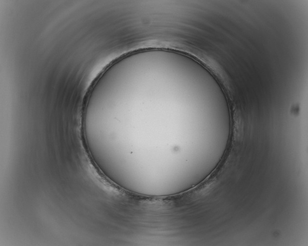 X0000110670896200906261254