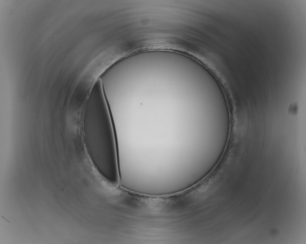 X0000110670897200906261254