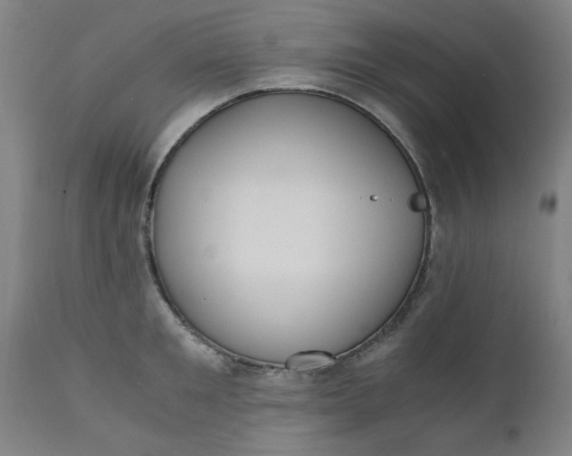 X0000110670901200906261254