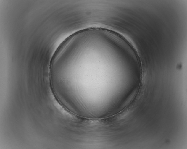 X0000110670903200906261254
