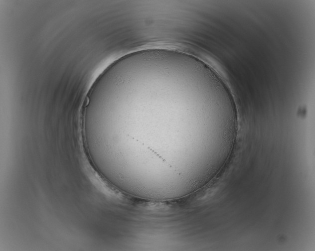 X0000110670907200906261254