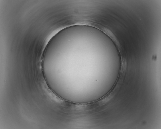 X0000110670908200906261254
