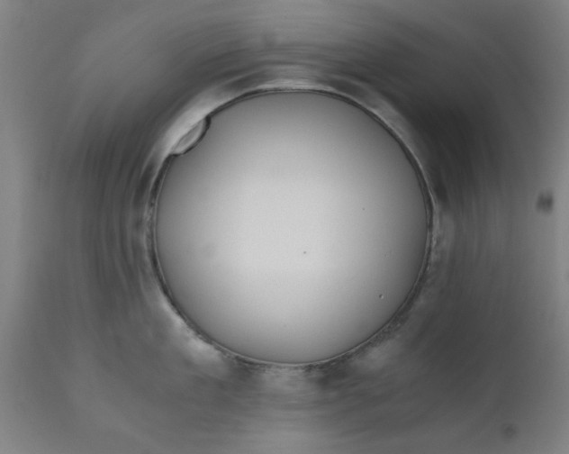 X0000110670909200906261254