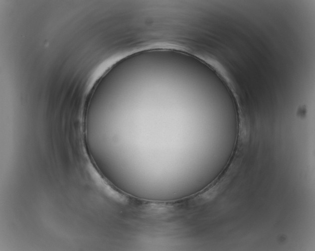 X0000110670910200906261254