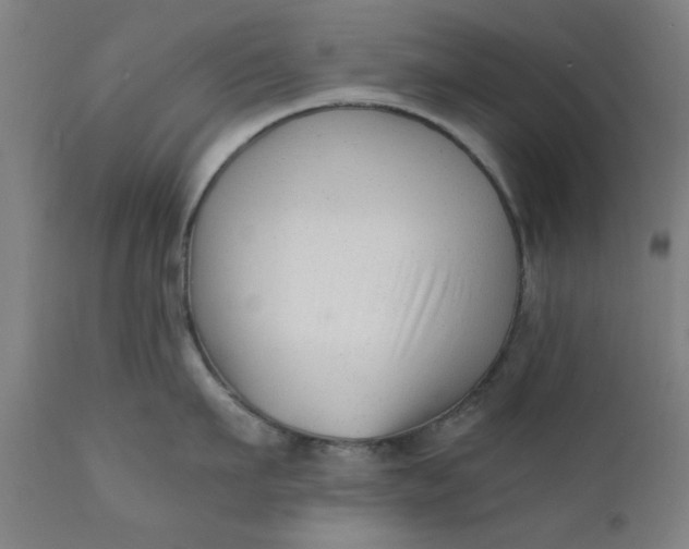 X0000110670911200906261254