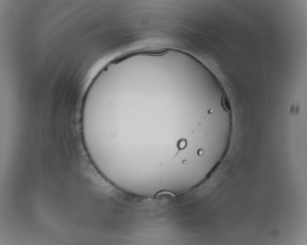 X0000110670912200906261254