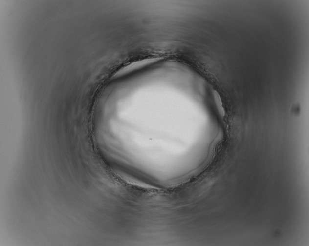 X0000110670913200906261253
